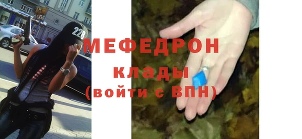 индика Белокуриха