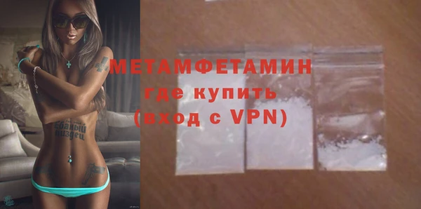 индика Белокуриха