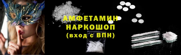 индика Белокуриха