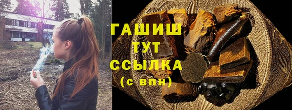 индика Белокуриха