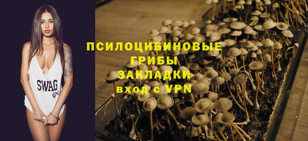 индика Белокуриха